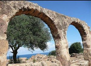 Arcatures Romaines à Tipasa