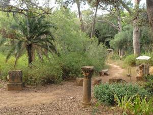 Le Ruines Romaines de Tipaza