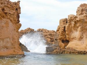 Criques de la Corne d'or (Tipaza)