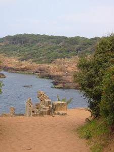 Monuments Romains à Tipaza