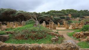 Cité Romaine à Tipaza