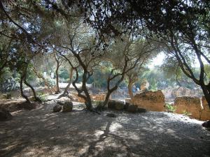 Entrée des Ruines Romaines de Tipaza