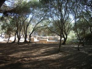 Le Théâtre Romain de Tipaza