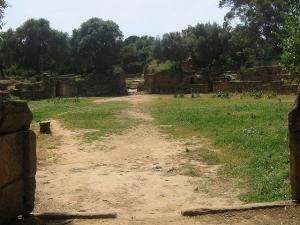 Amphithéâtre Romain à Tipaza