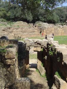 Amphithéâtre Romain à Tipaza
