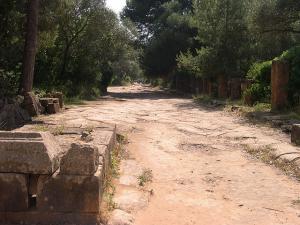 Une Allée dans la Cité Romaine de Tipaza
