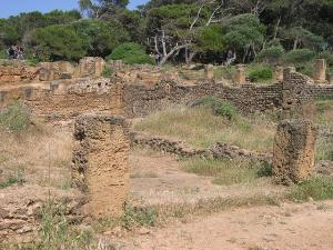 La Cité Romaine de Tipaza