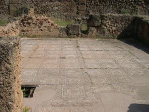 Mosaïque Romaine sur le dallage (Wilaya de Tipaza)