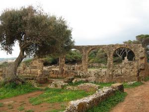 Constructions Romaines de Tipaza