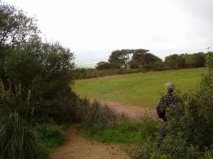 Verudure printanière de Tipaza