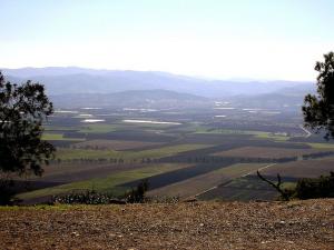 Champs agricoles de Tipaza