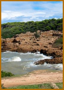 La Cité Romaine de Tipaza