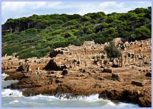 La Cité Romaine de Tipaza