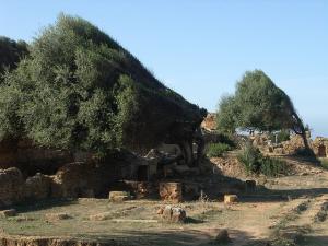 Ecuries Romaines à Tipaza