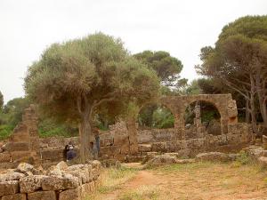 La Cité Romaine deTipaza