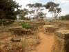 Cimetière Romain de Tipaza