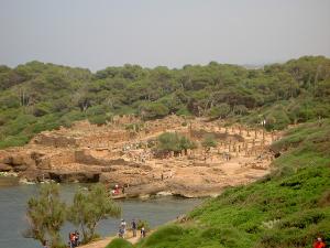 La Cité Romaine de Tipaza