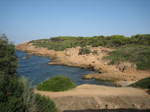 La Côte près de la Cité Romaine de Tipaza