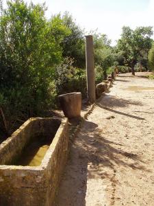 Une Allée dans la Cité Romaine de Tipaza