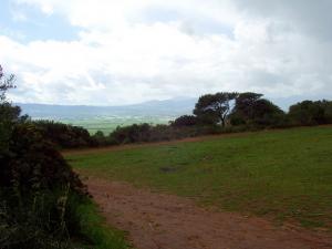 Verdure de Tipaza au Printemps