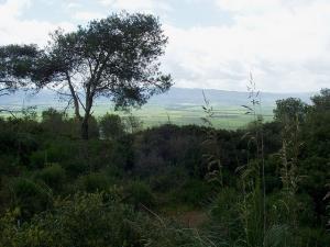 Champs agricoles à Tipaza