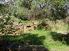 Ruine Romaines de Tipaza