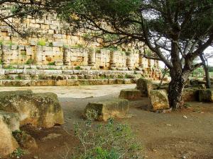 Ruines Romaines de Tipaza