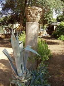 Ruines Romaines de Tipaza