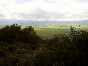 Champs Agricole de Tipaza