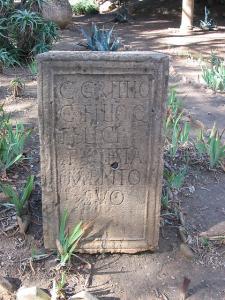 Ruines Romaines à Tipaza
