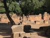 Ruines Romaines Tipaza