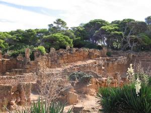 Ruines Romaines Tipaza