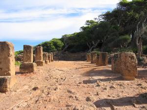 Ruines Romaines Tipaza