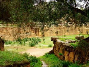 Ruine romaine Tipaza Algérie