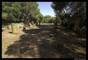 Tribunal Romain à Tipaza
