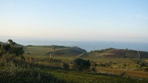 Ruines Romaines de Tipaza