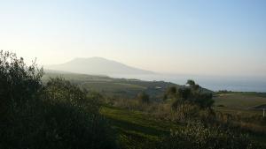 Prairies de Tipaza