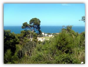 La Corne d'Or Tipaza