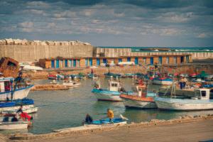 Port de Tipaza