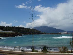 Jebel Chenoua - Tipaza