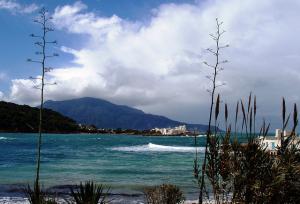 Jebel Chenoua - Tipaza - Algerie