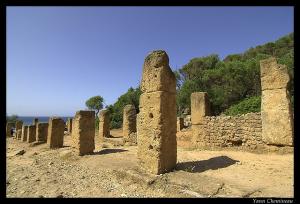 Ruine Romaines de Tipaza