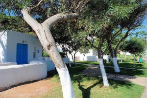 La Corne d'Or à Tipaza