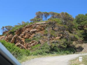 Forêt, Gouraya, Wilaya de Tipaza