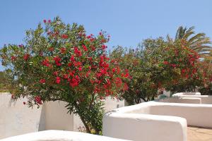 Complexe touristique de la Corne d'or (Tipaza)