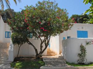 Complexe touristique de la Corne d'or (Tipaza)