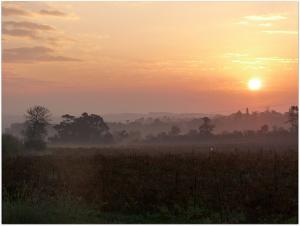 Crépuscule aux Environs de Tipasa