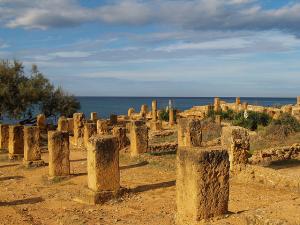 Ruines Romaines de Tipaza