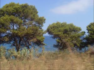 Paysage de Tipaza