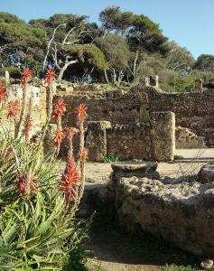 Ruines Romaines de Tipaza